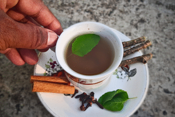 Tulsi - Holy Basil - Guia definitivo